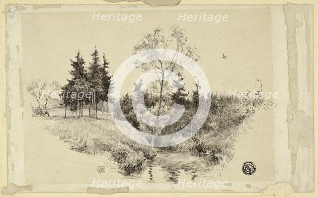 Brook in Forest, n.d. Creator: Unknown.