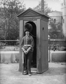 A Coldstream Guard at his sentry box, c1870-c1900. Artist: York & Son