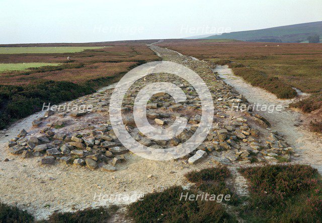 Roman road over Wheeldale Moor. Artist: Unknown