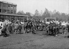 Horse Shows - Unidentified Entrant, 1912. Creator: Harris & Ewing.