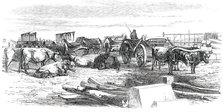 Russian Bullock Carts, 1850. Creator: Unknown.