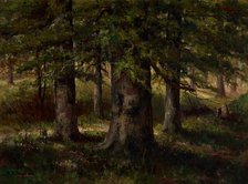 Landscape with Beech Trees, date unknown, c1900-1940. Creator: Edward Sitzman.