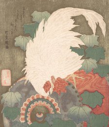 Cock on Drum, ca. 1825. Creator: Totoya Hokkei.