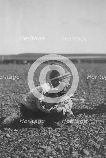 Child and calf, between c1900 and c1930. Creator: Unknown.