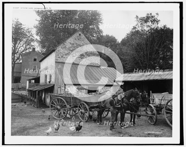 A Farm yard, Germantown, Pa., c.between 1900 and 1906. Creator: Unknown.