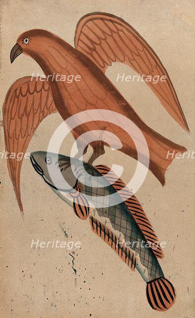 A fish being carried off by a bird. Creator: Unknown.