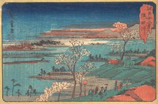 Gotenyama-no Hana. Creator: Ando Hiroshige.