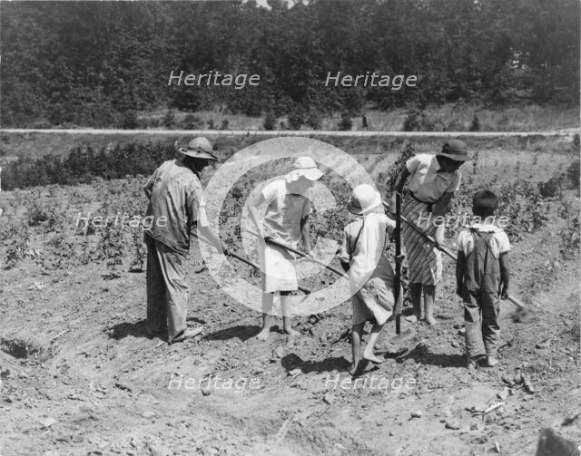 Alabama tenant farmer and children, Near Anniston, Alabama, 1936. Creator: Dorothea Lange.