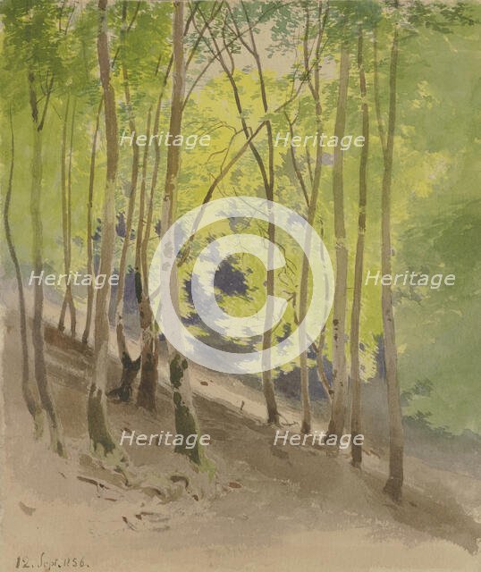 Forest slope, 1856. Creator: Carl Theodor Reiffenstein.