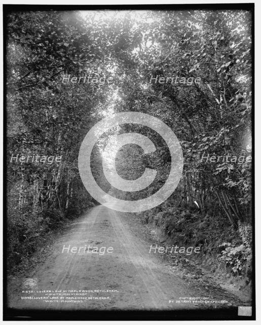 Lover's [sic] Lane at Maplewood, Bethlehem, White Mountains, c1901. Creator: Unknown.