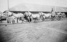 Horse team starting on trail to Chitina, between c1900 and 1927. Creator: Unknown.