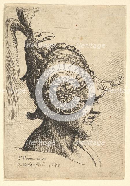 Helmeted Head wtih Bird's Head Crest, 1645. Creator: Wenceslaus Hollar.