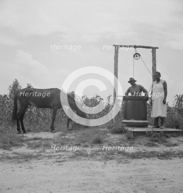 Possibly: Noontime chores, Granville County, North Carolina, 1939. Creator: Dorothea Lange.