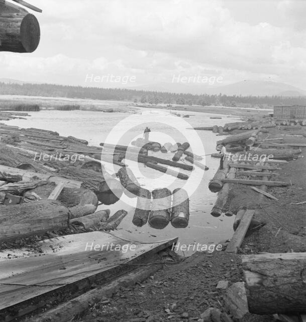 Mill pond, Klamath River beyond, Keno, Klamath County, Oregon, 1939. Creator: Dorothea Lange.