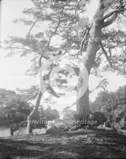 Travel views of Japan and Korea, 1908. Creator: Arnold Genthe.