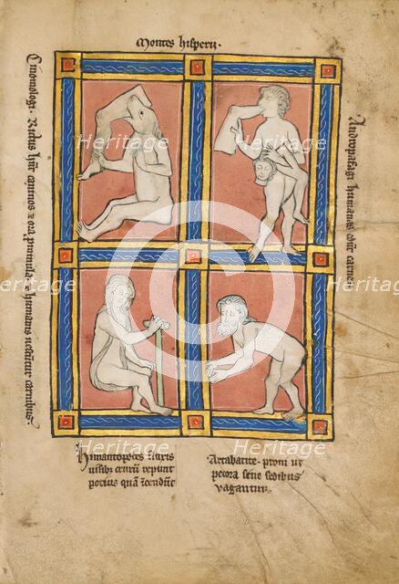 Cinomologus; Anthropophagus; Himantopode; Artabatite; De Natura Avium, 1277 or after. Creator: Unknown.