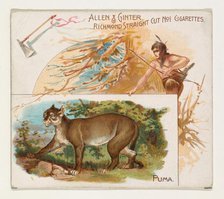 Puma, from Quadrupeds series (N41) for Allen & Ginter Cigarettes, 1890. Creator: Allen & Ginter.