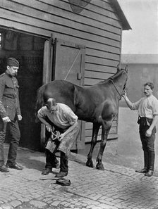 The Farrier-Major of the Royal Horse Guard, 1896.Artist: Gregory & Co