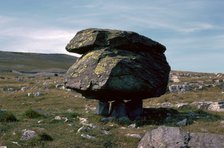 Glacial Erratic block of Silurian grit.