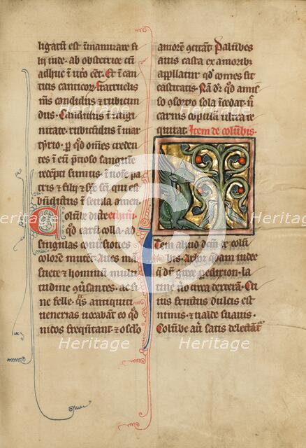 A Peridexion Tree; De Natura Avium; De Pastoribus et Ovibus; Bestiarium, 1277 or after. Creator: Unknown.