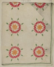Quilt - Applique Patterns with Border, c. 1936. Creator: Lily Capson.