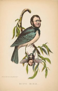 King Bird (Robert P. King and Alexander Baird), from The Comic Natural History of the Human..., 1851 Creators: Henry Louis Stephens, L. Rosenthal.