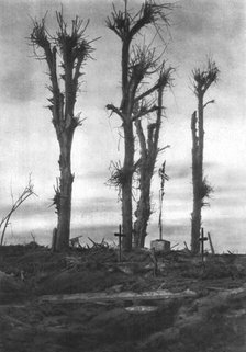 'Les calvaire de pressoire, 7 et 8 novembre', 1916. Creator: Unknown.