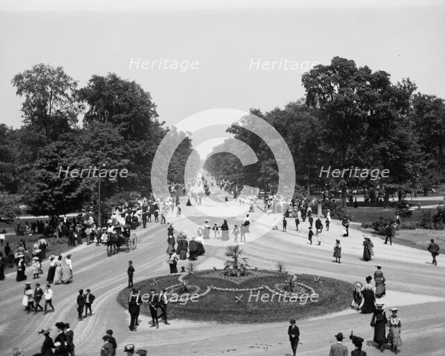 Central Avenue, Belle Isle Park, Detroit, Mich., between 1900 and 1910. Creator: Unknown.