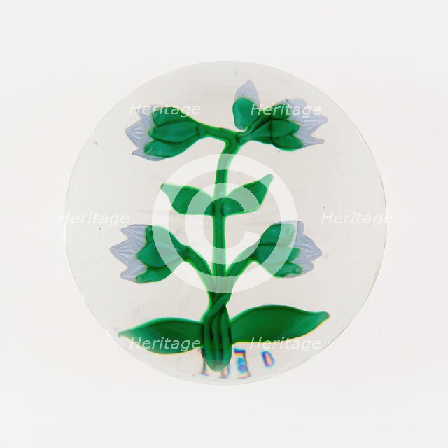 Paperweight, France, 19th century. Creator: Baccarat Glasshouse.