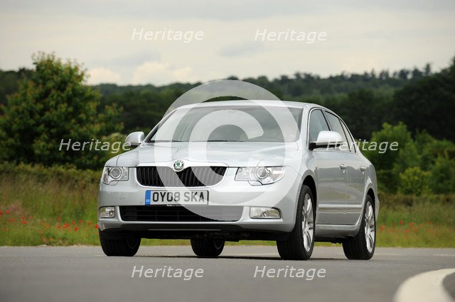 Skoda SUPERB 2008. Artist: Simon Clay.