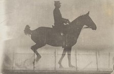 Horse And Rider (Cavalier Et Cheval) #1, c1888. Creator: Etienne Jules Marey.