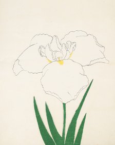 Hatsu-Shimo, No. 6, 1890, (colour woodblock print)