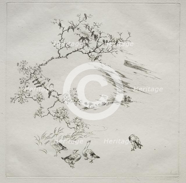 Parisian Service (Haviland service): Night (no. 7), 1875. Creator: Félix Bracquemond (French, 1833-1914).