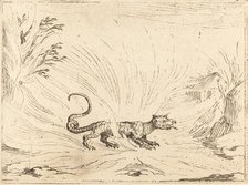 Salamander Surrounded by Flames. Creator: Jacques Callot.