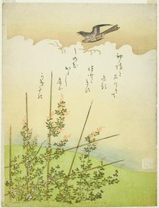 Cuckoo flying over deutzia flowers, Japan, c. 1766. Creator: Komatsuya Hyakki.