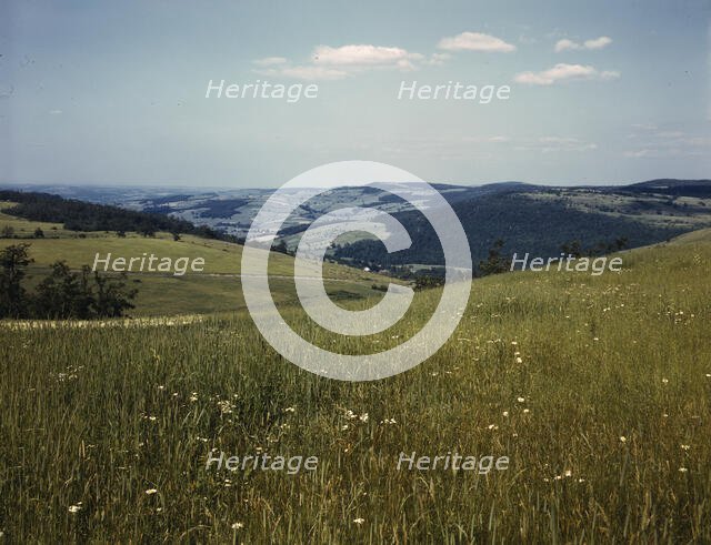 Farmland in the Catskill Mountains, Richmondsville, N.Y., 1943. Creator: John Collier.