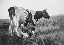 A woman milking a cow, near Landskrona, Sweden. Artist: Unknown