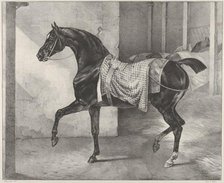 Black Horse Tethered in a Stable, 1822. Creator: Theodore Gericault.