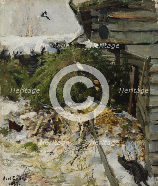 Spruces in a Farmyard, 1887. Creator: Akseli Gallen-Kallela.