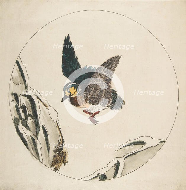 Decoration for a Plate: A Duck flying over Snow-covered Branches, 1850-1914. Creator: Felix Bracquemond.