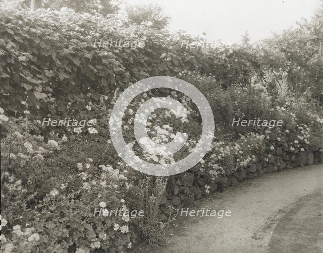 Unidentified house and garden, between 1910 and 1935. Creator: Frances Benjamin Johnston.