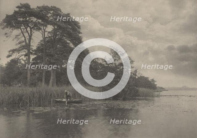 The Haunt of the Pike, 1887. Creator: Dr Peter Henry Emerson.