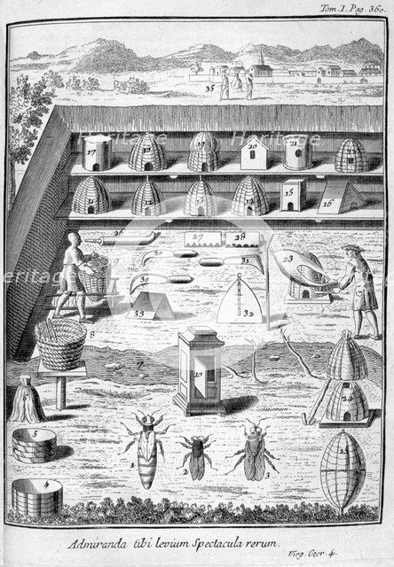 Beekeeping, 1775. Artist: Unknown