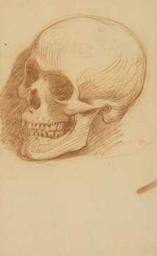 Study of a skull, 1895-1900. Creator: Milan Thomka Mitrovsky.