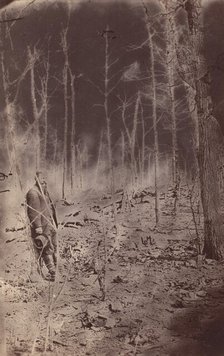The Wilderness Battlefield, near Spotsylvania, Virginia, 1865 (?). Creator: Unknown.