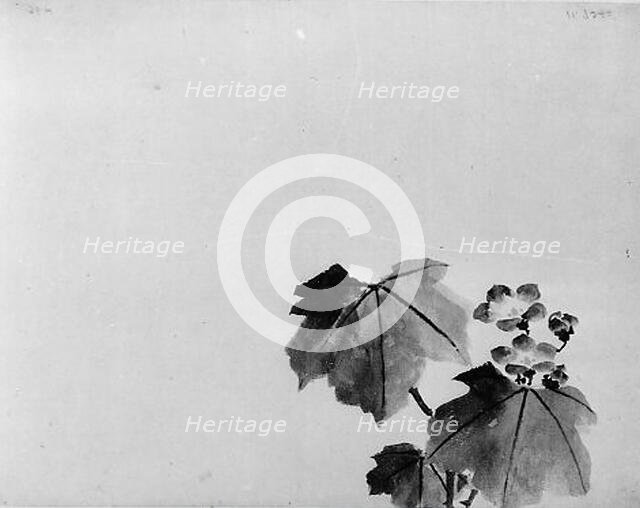 Bellflower, 19th century. Creator: Hokusai School.