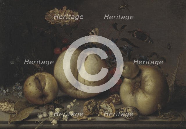 Still Life with Fruit and Shells. Creator: Balthasar van der Ast.