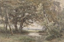 Water under trees at the end of a forest, 1835-1877. Creator: Jan Willem van Borselen.