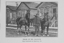 Team of Mr. Madock; Has business at Harvey, Ill., 1907. Creator: Unknown.
