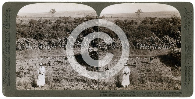 The north-west view from Shunem, across the Plain of Esdraelon, towards Carmel, 1900s.Artist: Underwood & Underwood